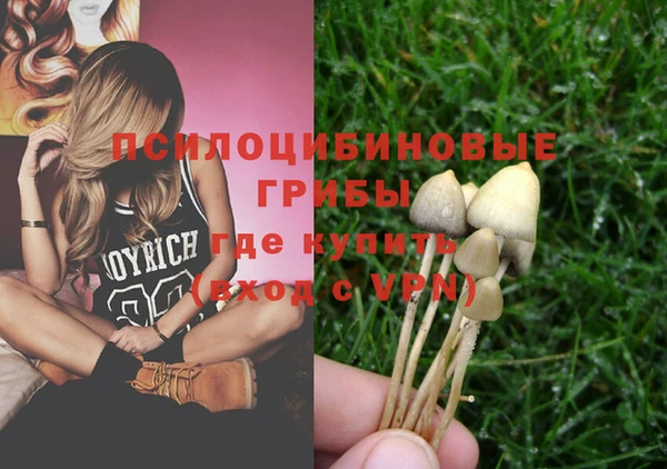 прущий лед Арсеньев
