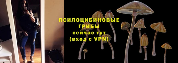 кокс Аркадак