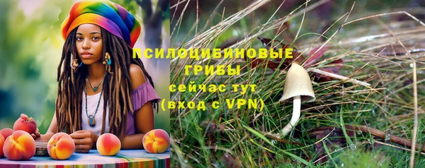 прущий лед Арсеньев
