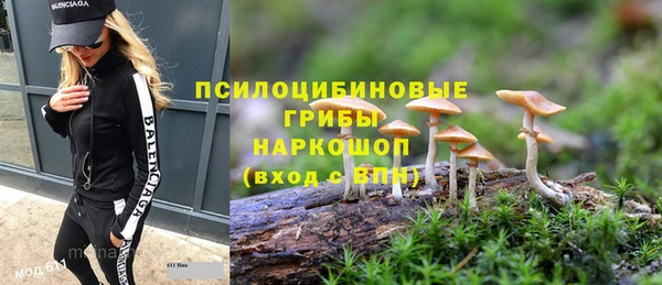 прущий лед Арсеньев