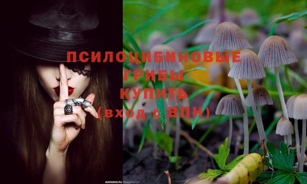 кокс Аркадак