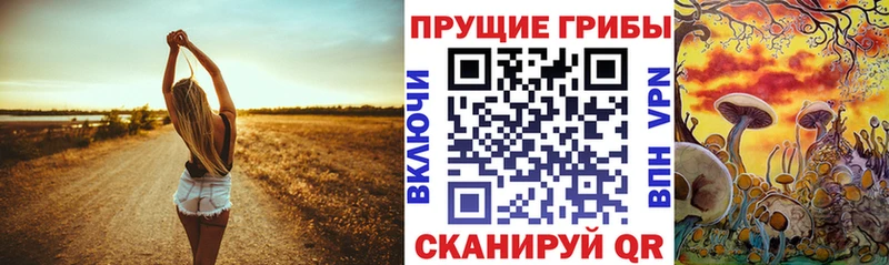 Псилоцибиновые грибы прущие грибы  Купить  Нарьян-Мар 